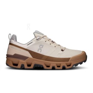 Brown On Cloud Cloudwander Waterproof Men's Hiking Shoes | On_IN9098