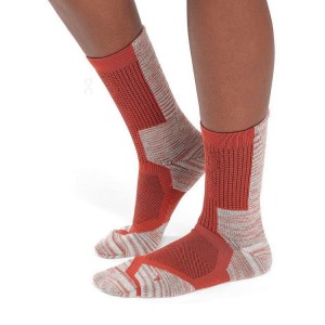 Orange On Cloud Explorer Merino Men's Socks | On_IN8817