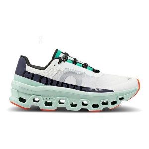 Turquoise / White On Cloud Cloudmonster Women's Running Shoes | On_IN8926