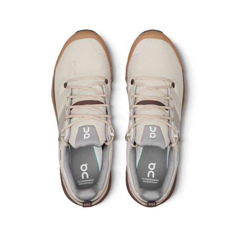 Brown On Cloud Cloudwander Waterproof Men's Hiking Shoes | On_IN9098
