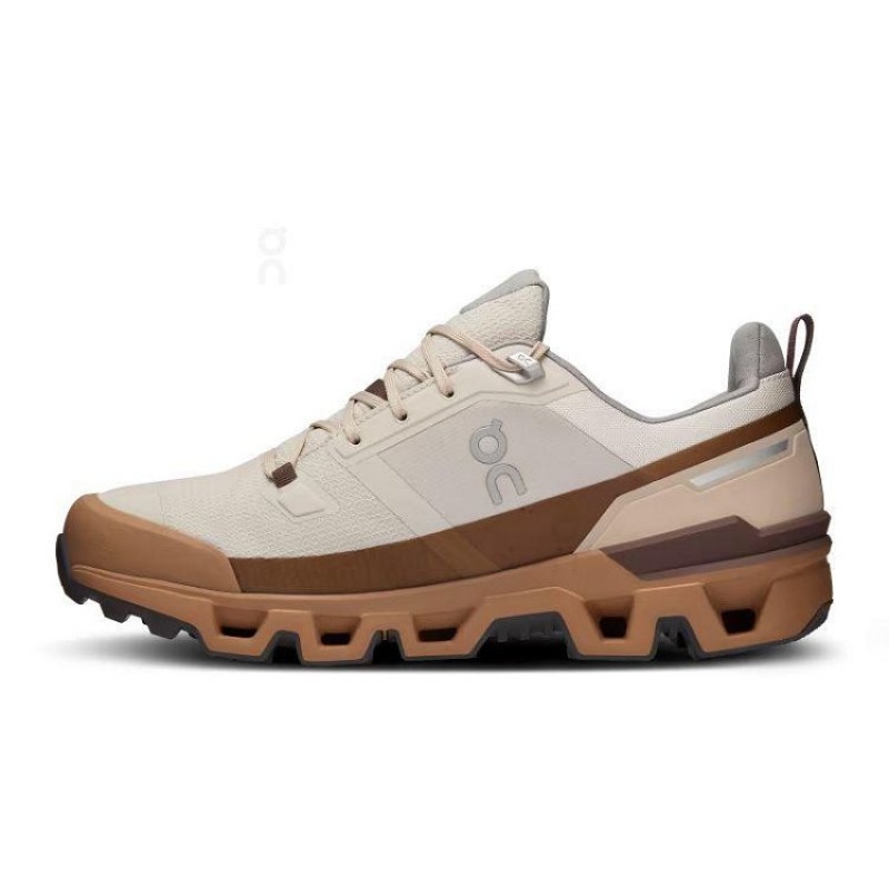 Brown On Cloud Cloudwander Waterproof Men's Hiking Shoes | On_IN9098