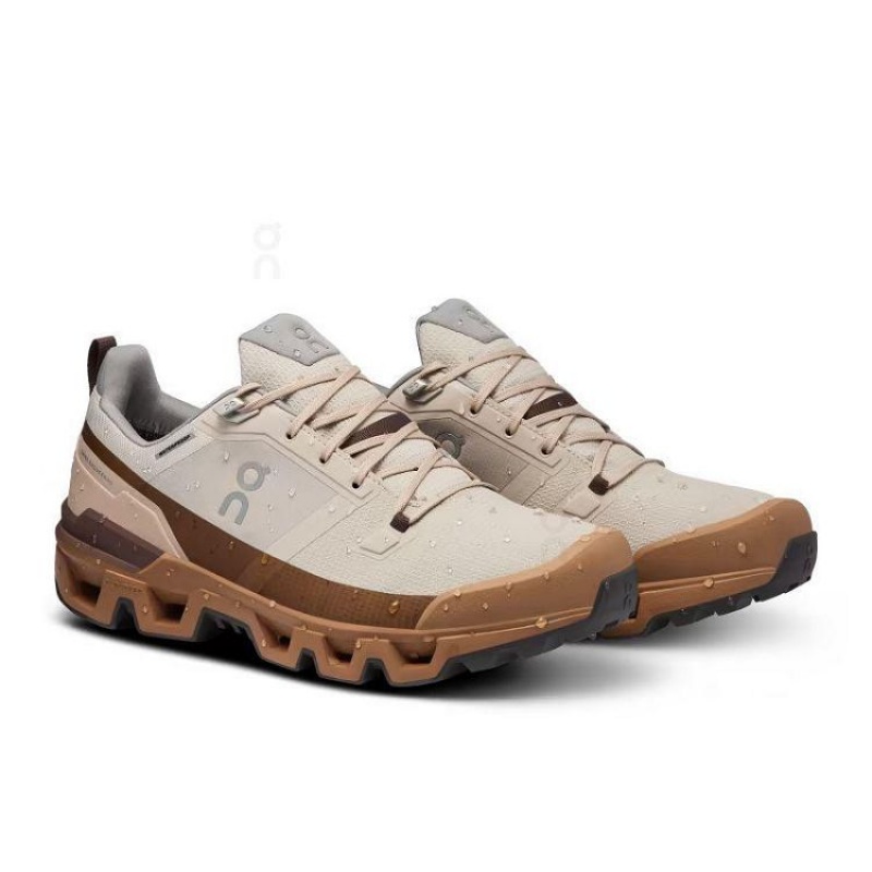 Brown On Cloud Cloudwander Waterproof Men's Hiking Shoes | On_IN9098