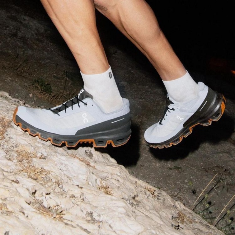 Grey / Brown On Cloud Cloudventure Men's Trail Running Shoes | On_IN8927